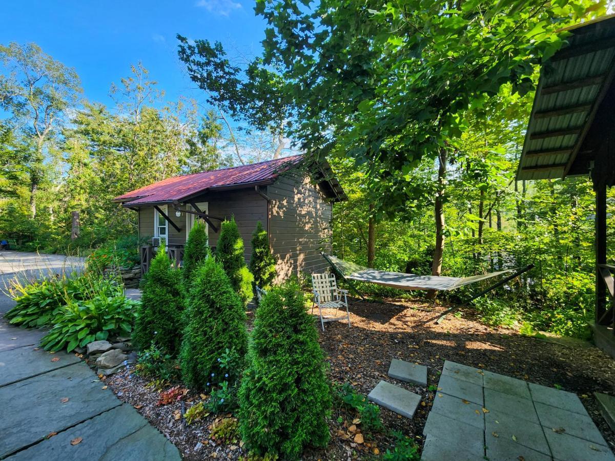 Belleayre Lodge Pine Hill Екстериор снимка