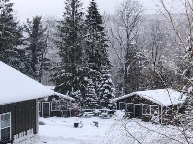 Belleayre Lodge Pine Hill Екстериор снимка
